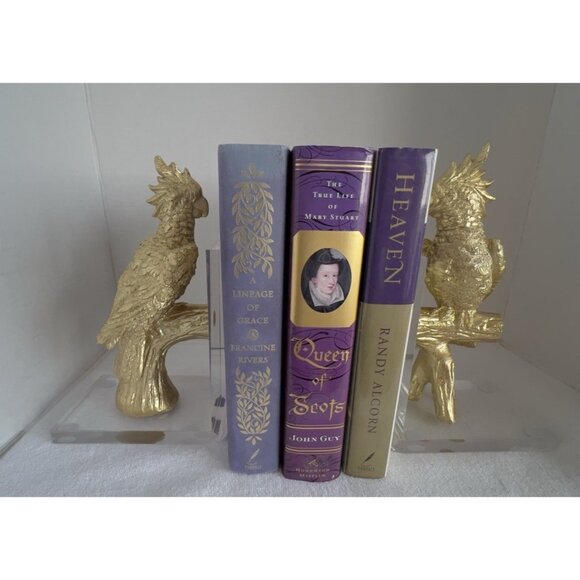 Cockatoo Cockatiel Parrot Bookends Gold Bird on Lucite 9"H x 6"W x 3"D ART DECO - Picture 10 of 11